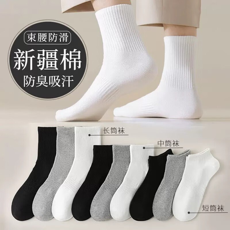 先领卷