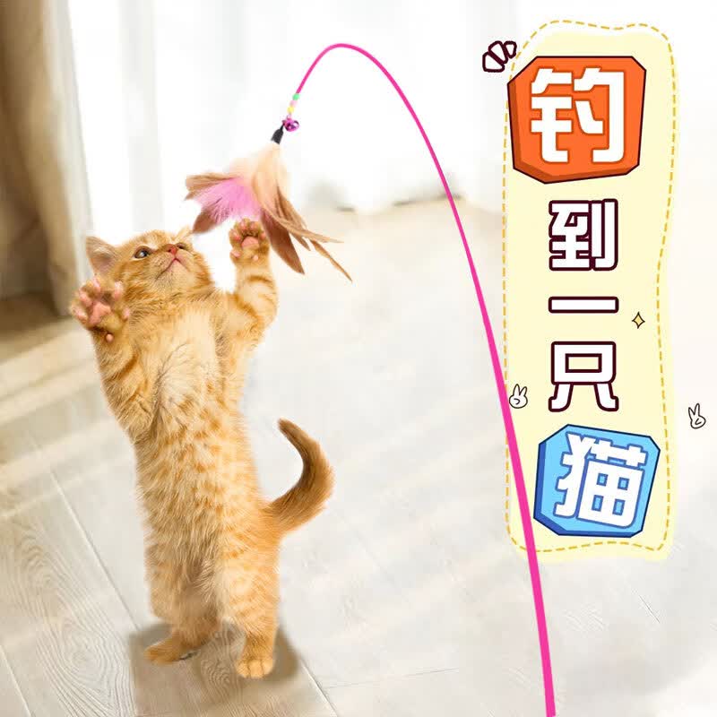 0.1💰逗猫棒打开去αpp弹4-4卷