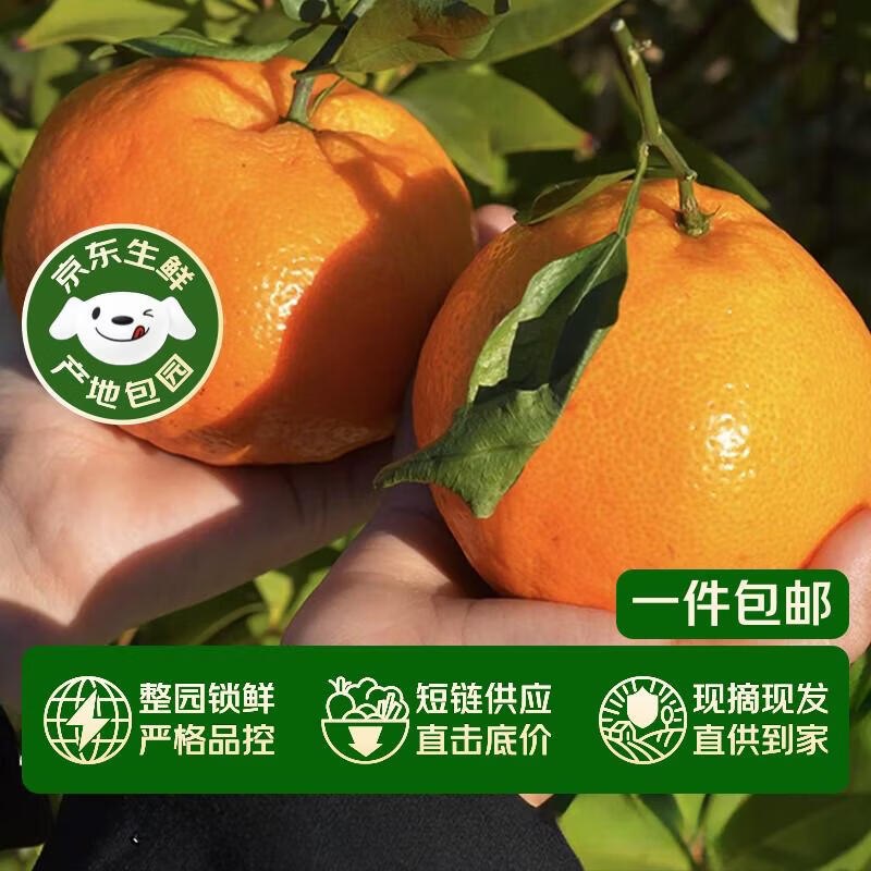 自营京鲜生 四川春见耙耙柑净重8.5-9斤 单果210g+