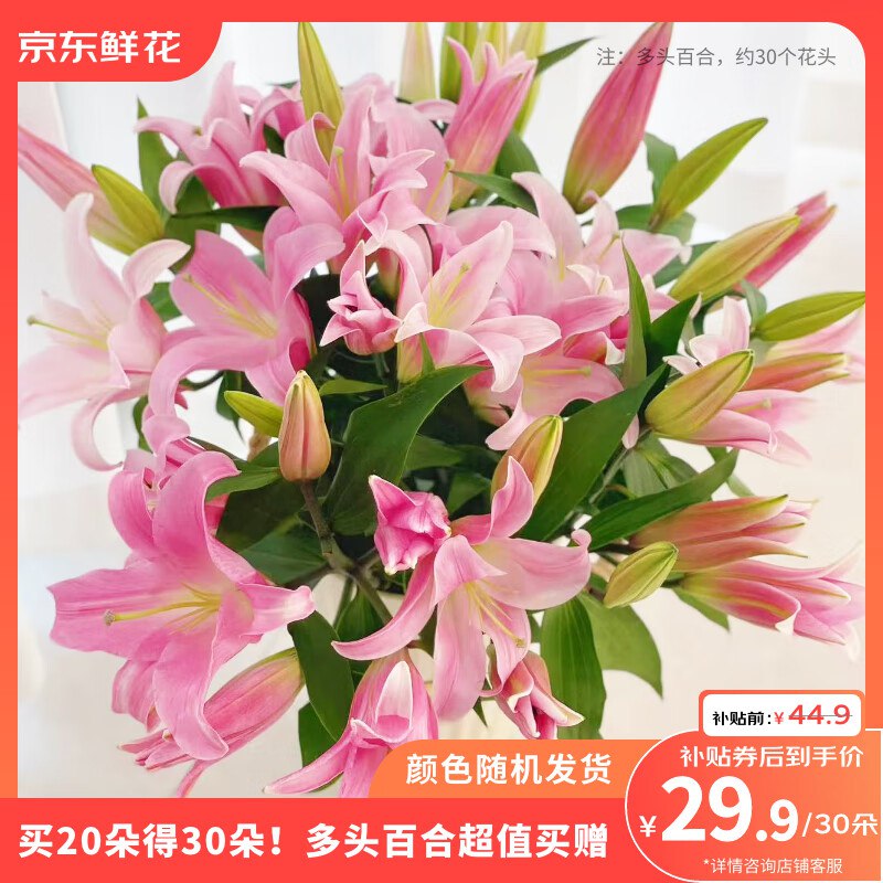 自营鲜花 随机色百合30朵